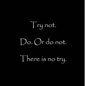 Meet your Posher, Joe